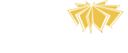 Light Human
